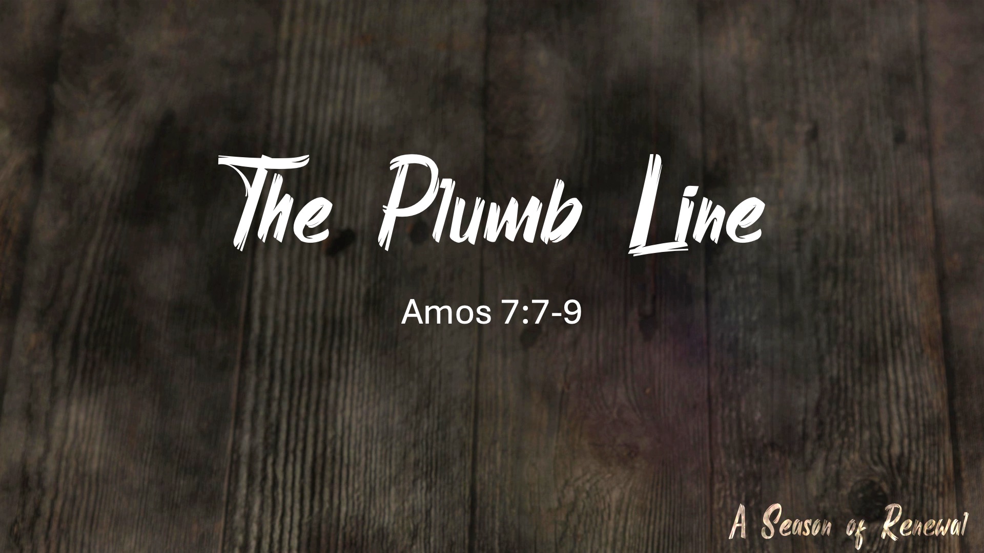 The Plum Line - Amos 7:7-9